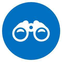 Vision